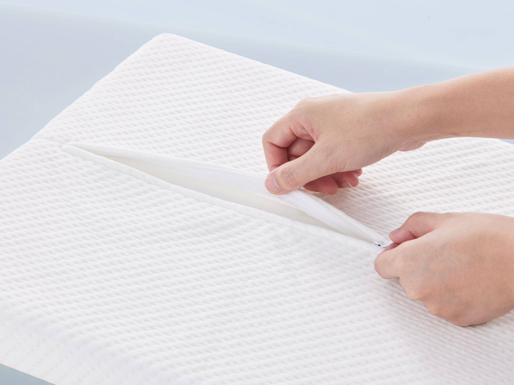 コアラペットベッド KUDDLE