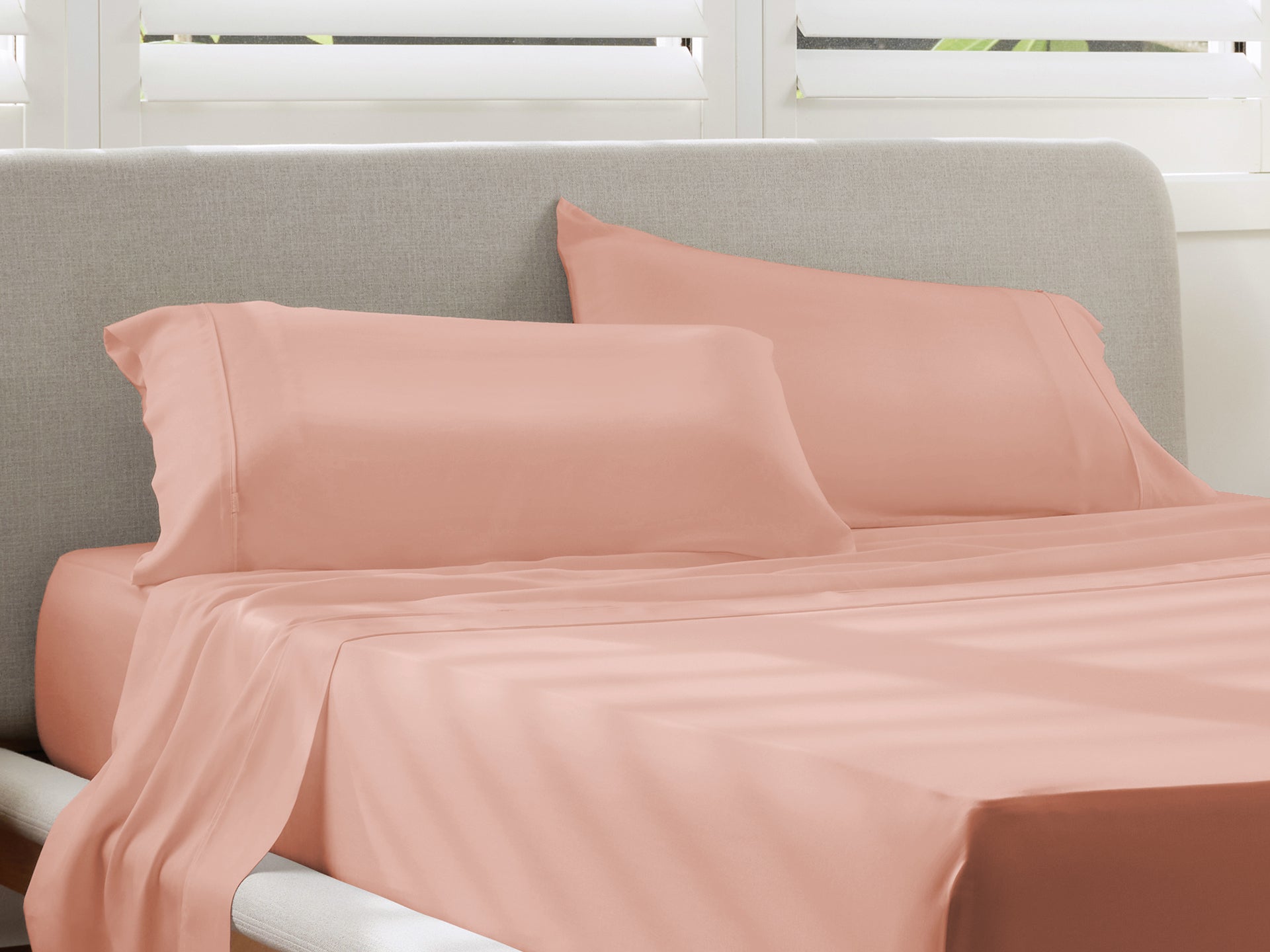 ピローカバー2枚セット - ミスティローズ