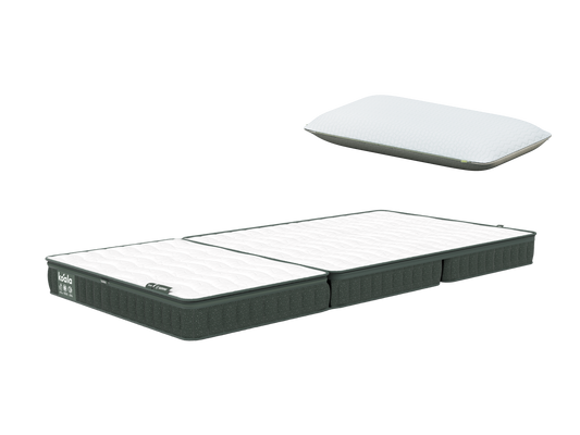 【新生活応援セット】コアラフトン PLUS + コアラピロー (2nd Gen) セット