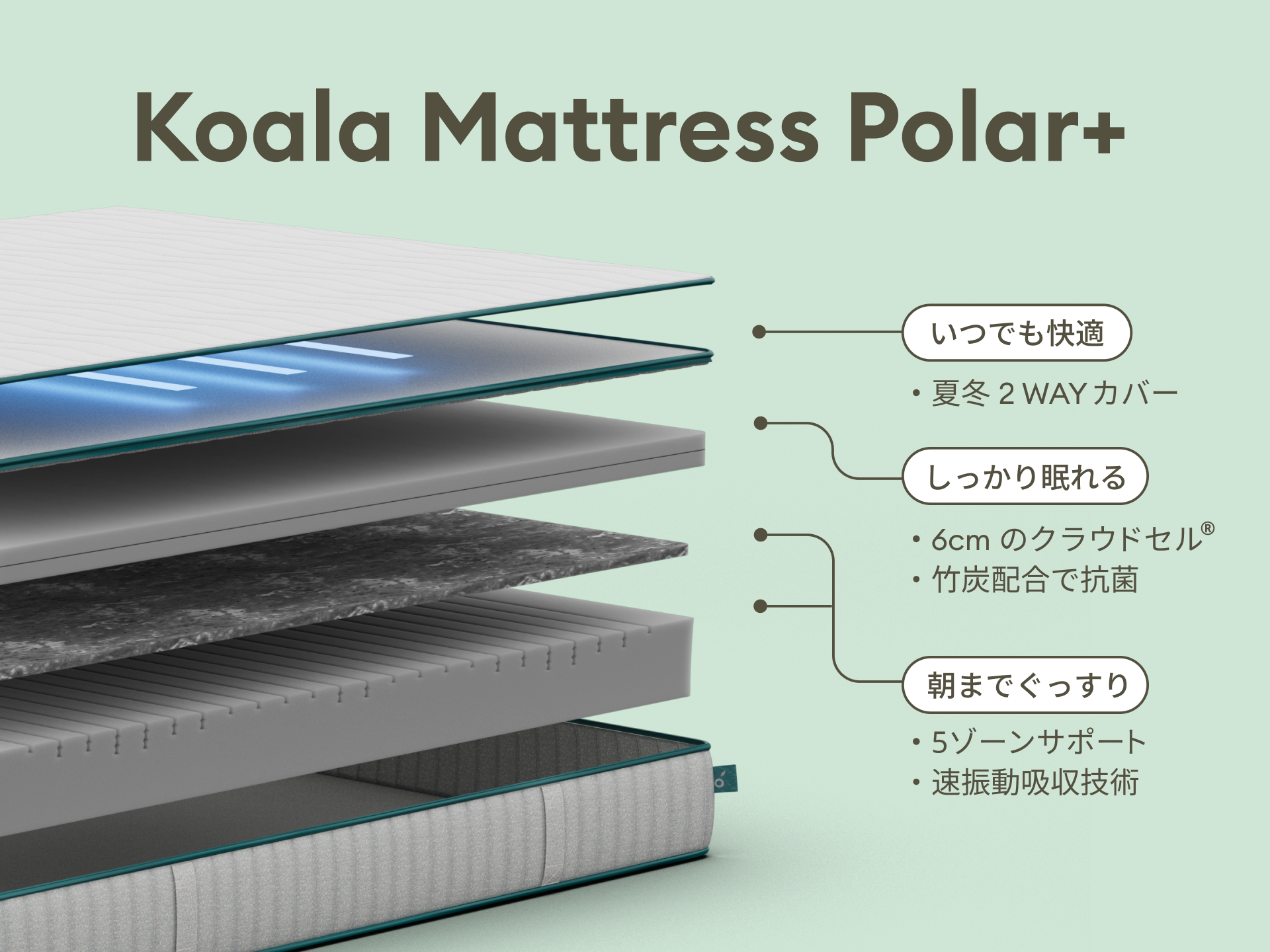 コアラマットレス PLUS PolarBands®｜夏は冷たく冬は暖かい一年中極上
