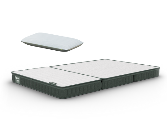 コアラフトン PLUS + コアラピロー (2nd Gen) セット