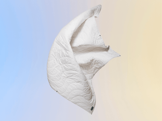 コアラ掛け布団 [2nd Gen]