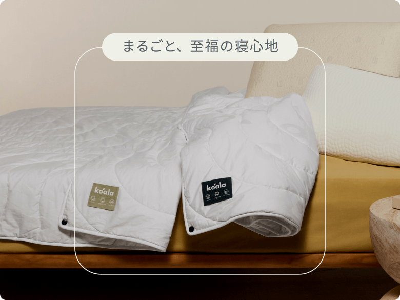 koala コアラ掛け布団 2nd Gen シングル 150×210 コアラ掛け布団 [2nd koala コアラ掛け布団 2nd Gen シングル 150×210 コアラ掛け布団 [2nd