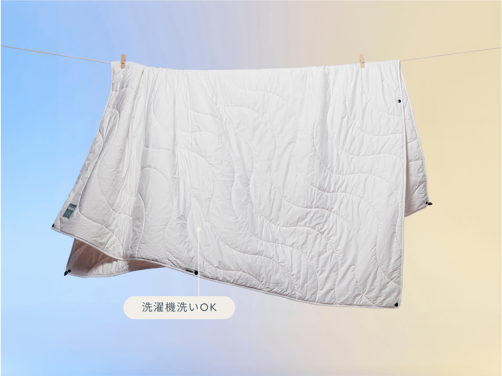 コアラ掛け布団 [2nd Gen] - シングル / コアラ掛け布団