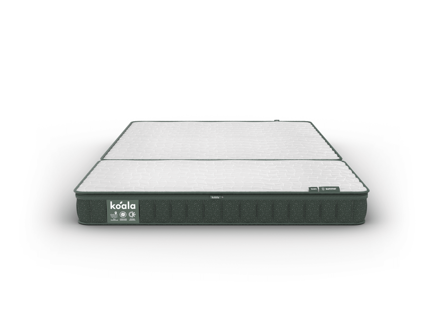 コアラフトン PLUS