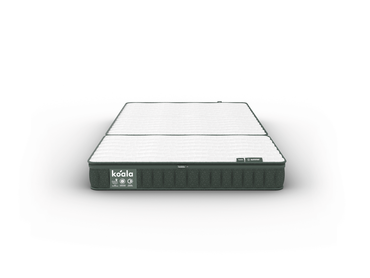 コアラフトン PLUS