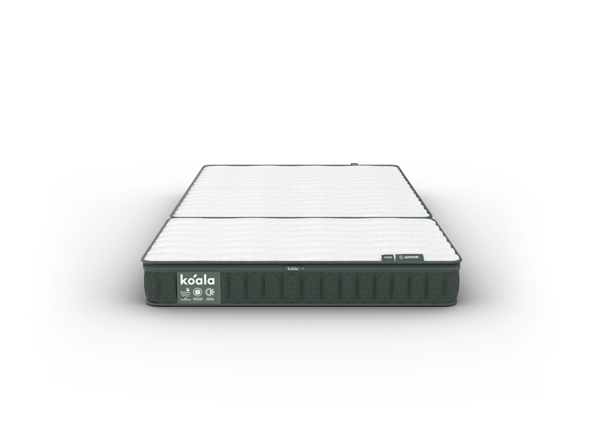 コアラフトン PLUS - シングル