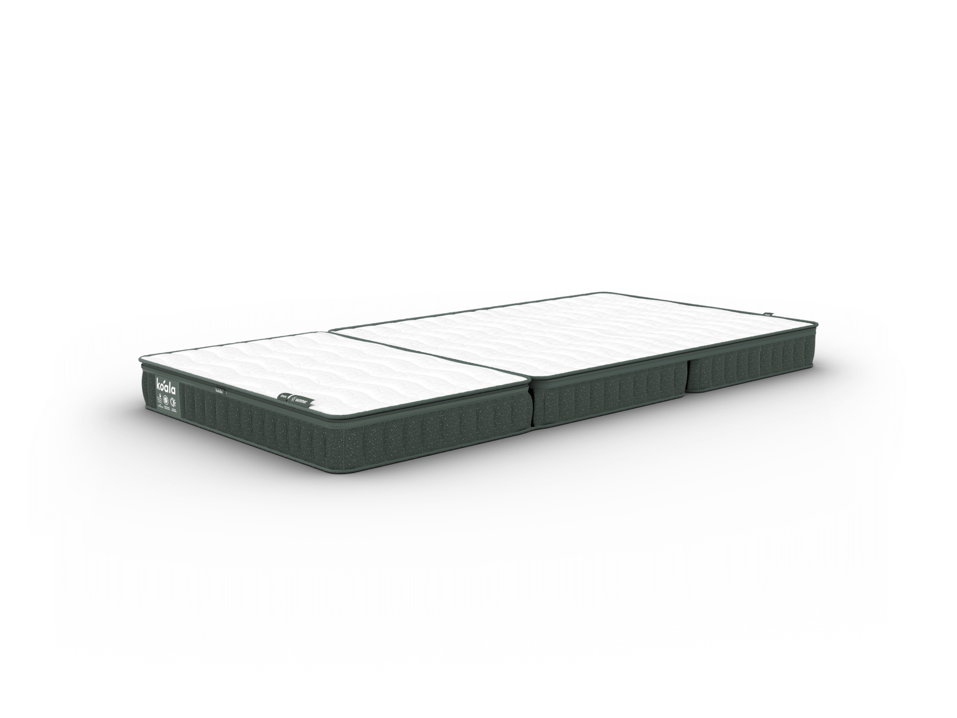 コアラフトン PLUS - シングル