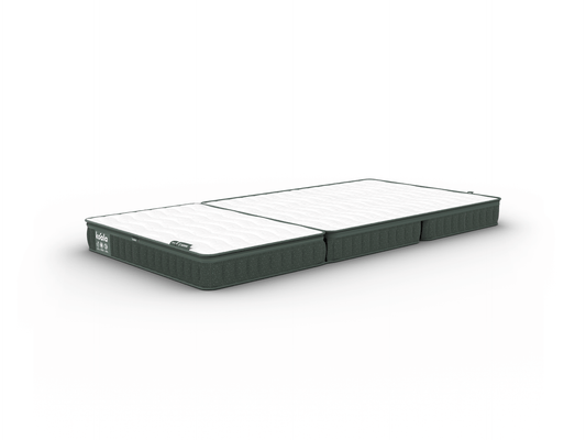 コアラフトン PLUS