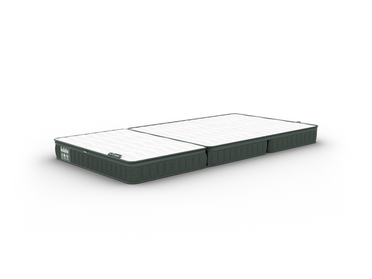 コアラフトン PLUS