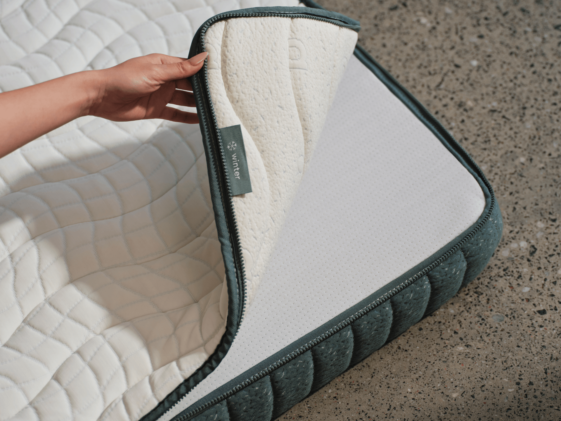 コアラフトン PLUS - シングル