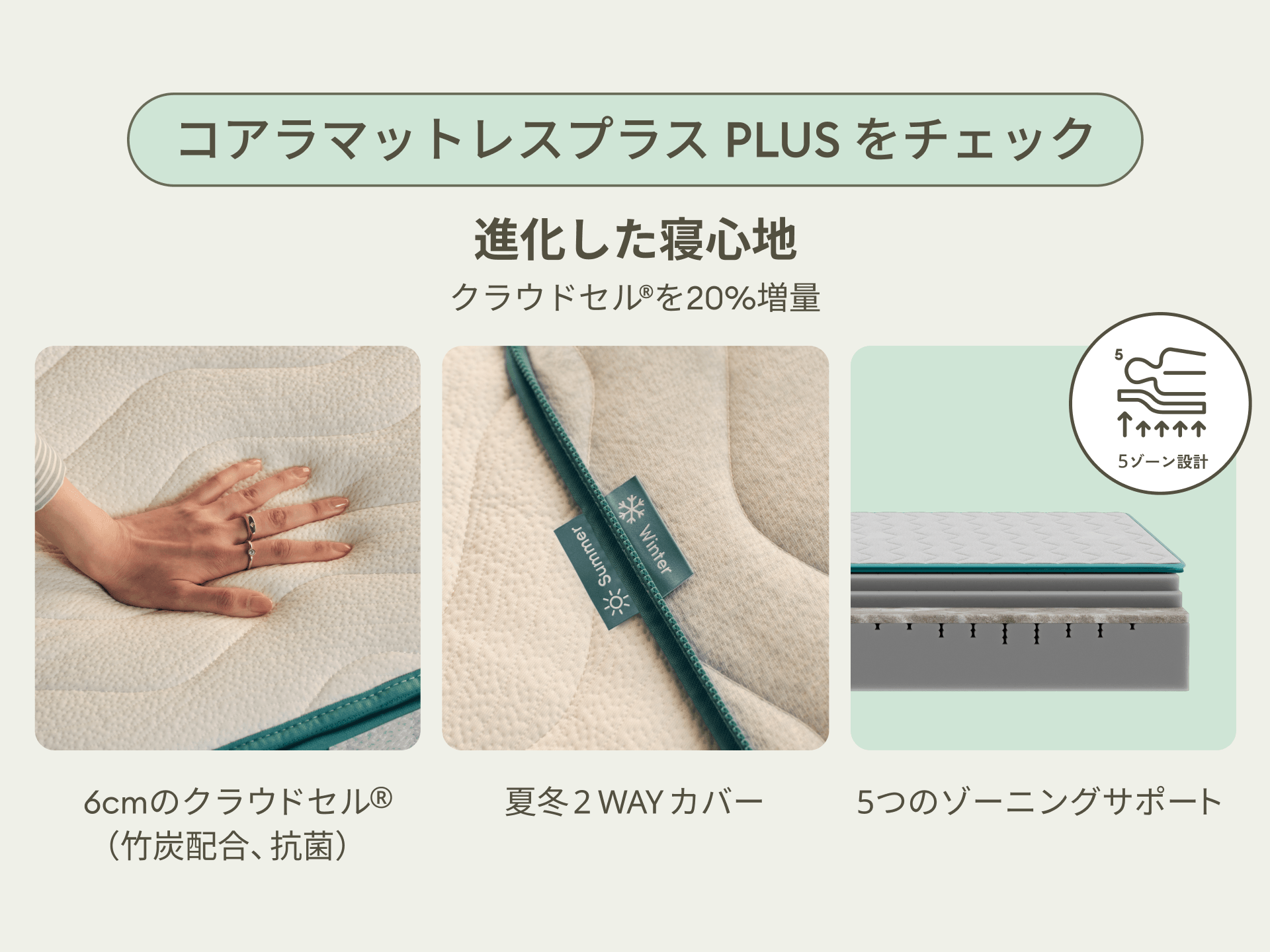 コアラマットレスプラス PLUS｜自分好みに調整できる高機能モデル