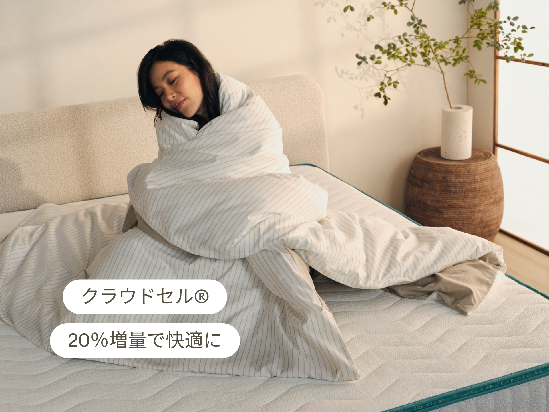 コアラマットレスプラス PLUS - クイーン