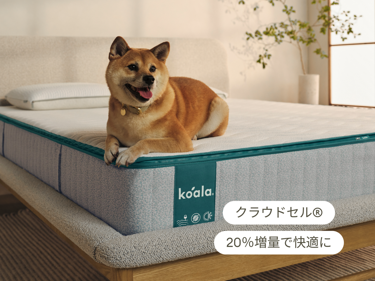 コアラマットレスプラス PLUS - セミダブル