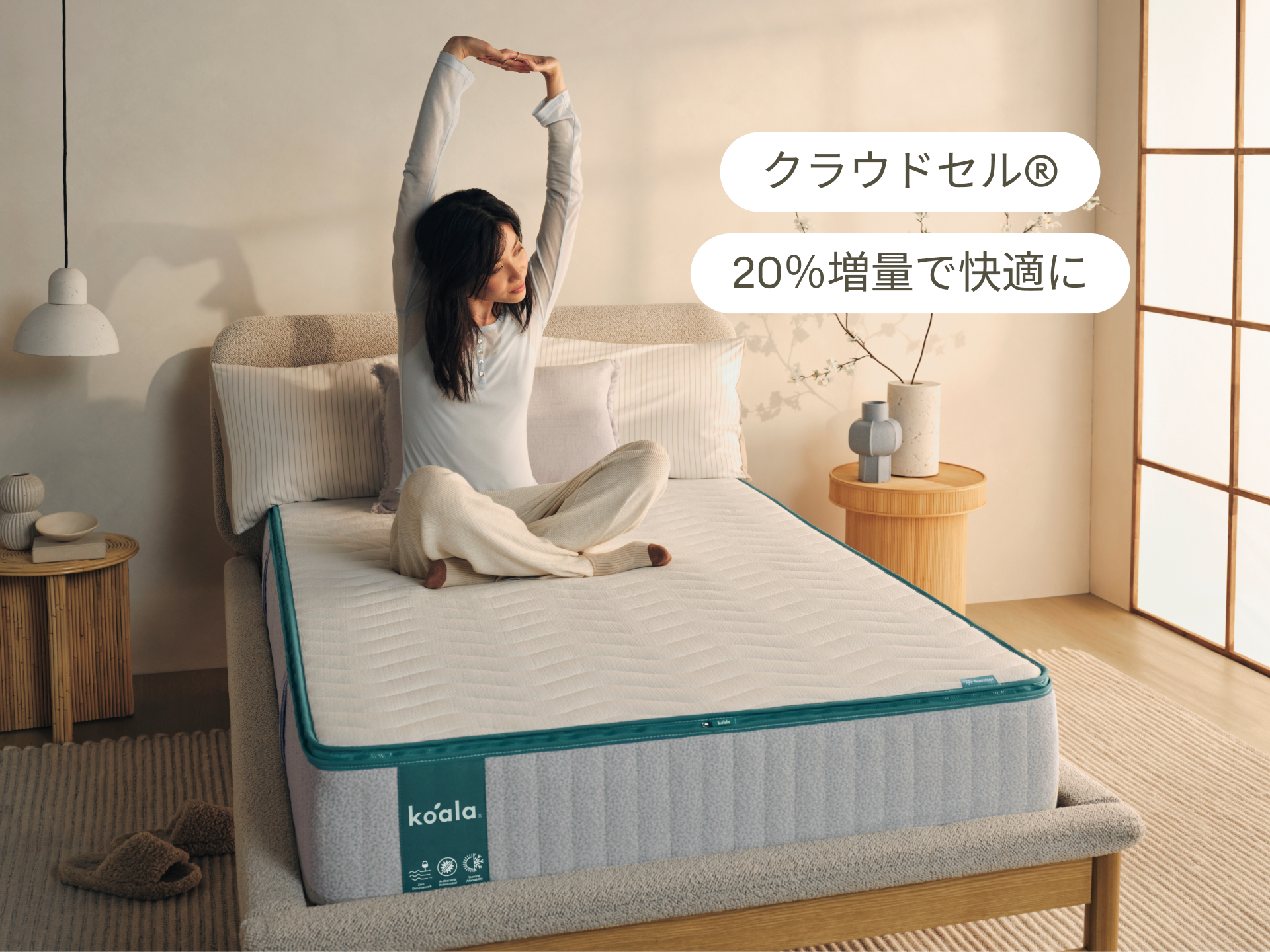 一点のみ　コアラマットレス プラス PLUS シングル 正規品　新品未開封 コアラマットレスプラス PLUS｜自分好みに調整できる高機能モデル