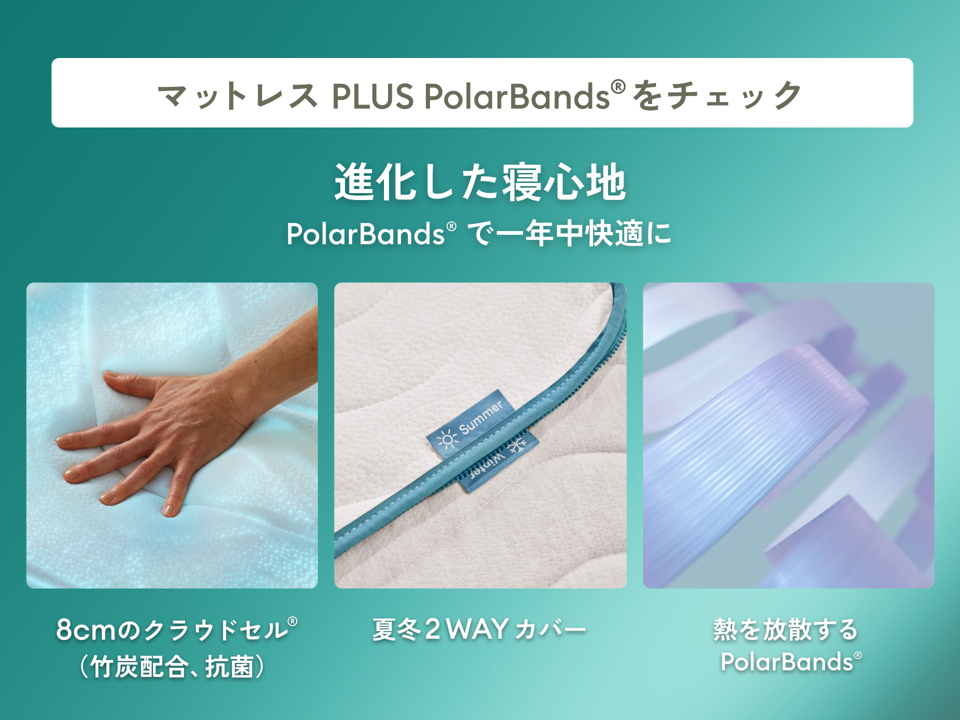 コアラマットレス PLUS PolarBands®|夏は冷たく冬は暖かい一年中極上 コアラマットレス PLUS PolarBands®|夏は冷たく冬は暖かい一年中極上