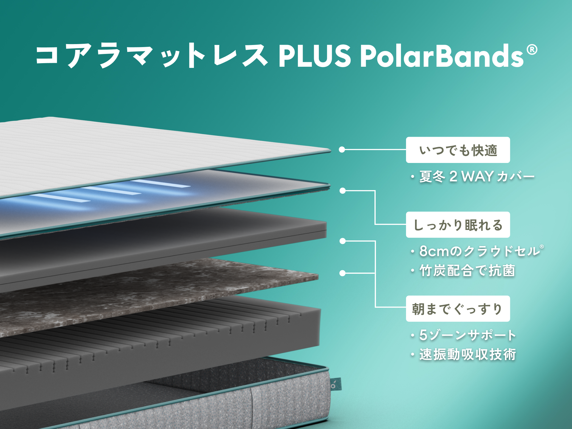 コアラマットレス PLUS PolarBands® - シングル