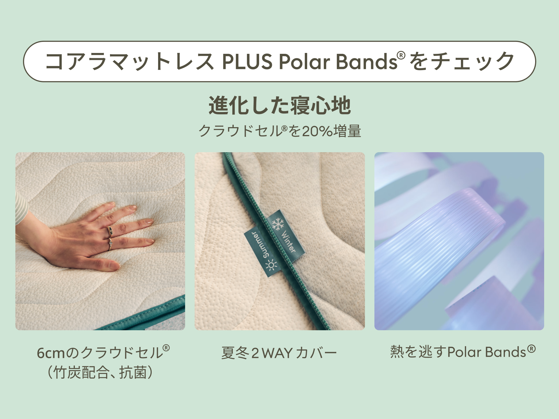 コアラマットレス PLUS PolarBands®｜夏は冷たく冬は暖かい一年中極上