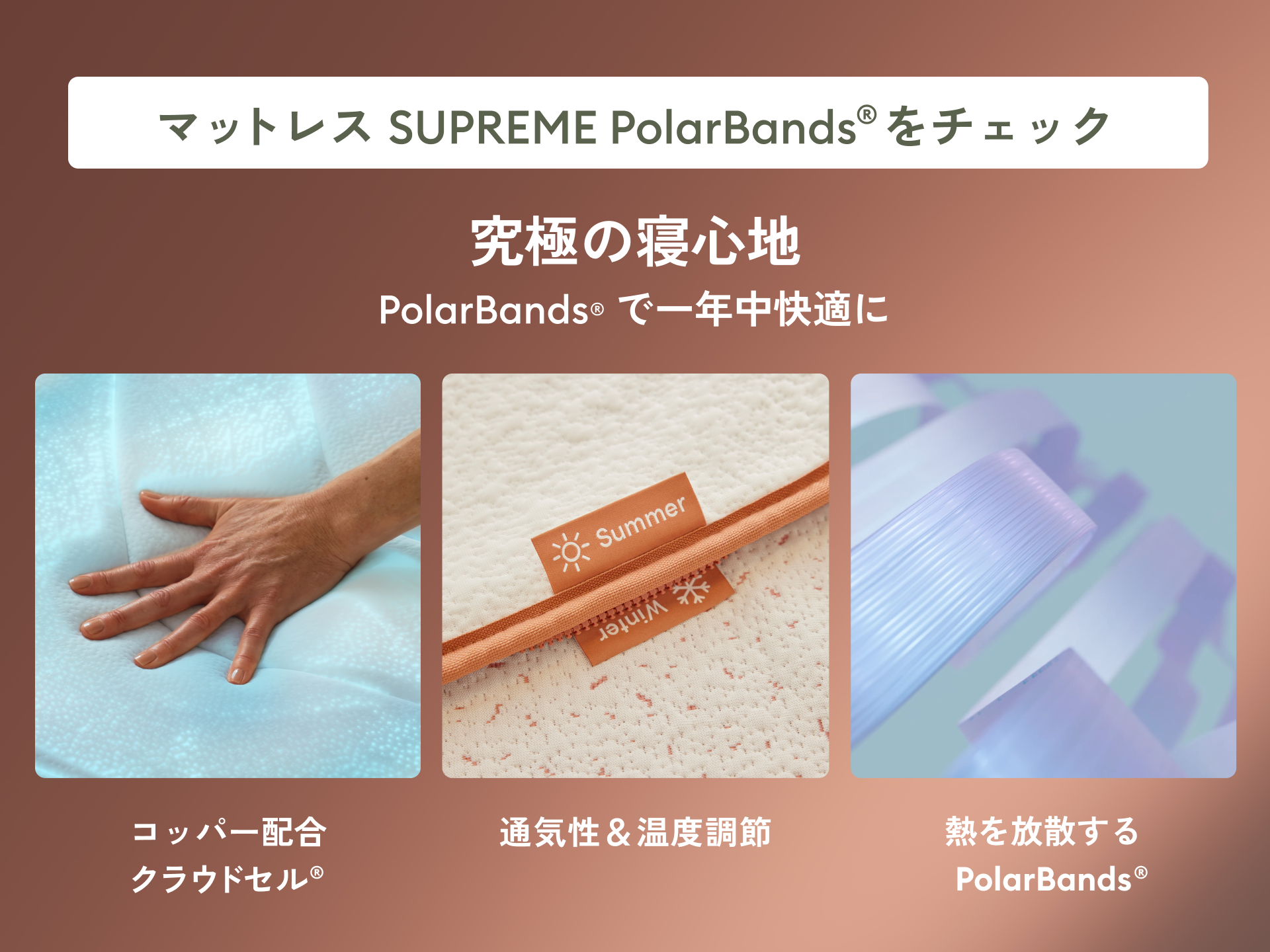 コアラマットレス SUPREME PolarBands®|一年通してワンランク上の コアラマットレス SUPREME PolarBands®|一年通してワンランク上の
