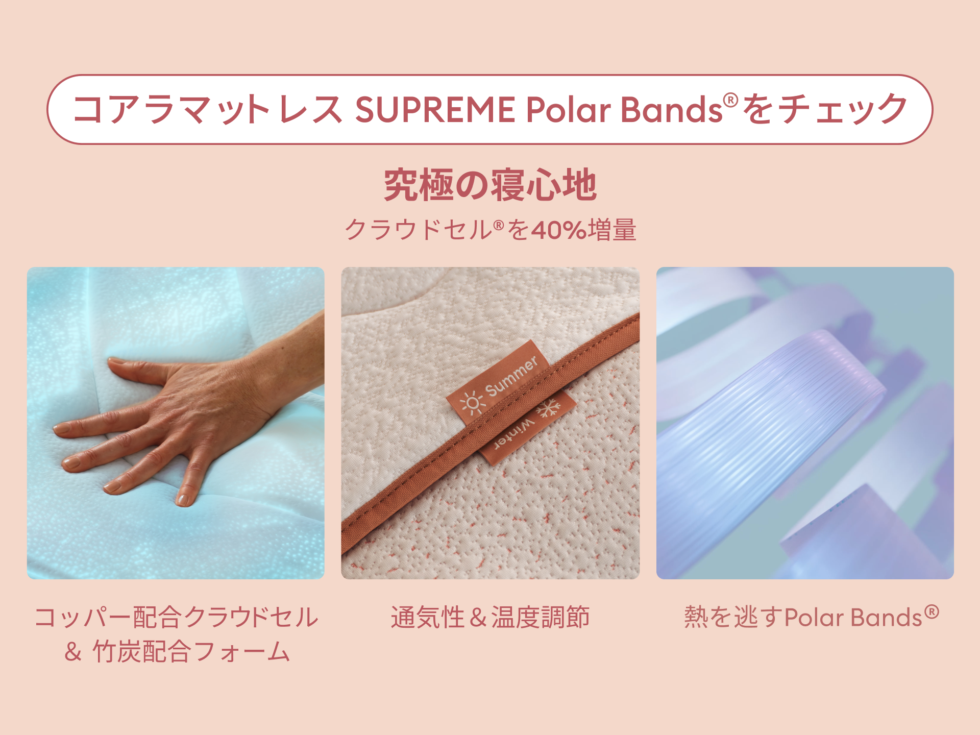 コアラマットレス SUPREME PolarBands®|一年通してワンランク上の コアラマットレス SUPREME PolarBands®|一年通してワンランク上の