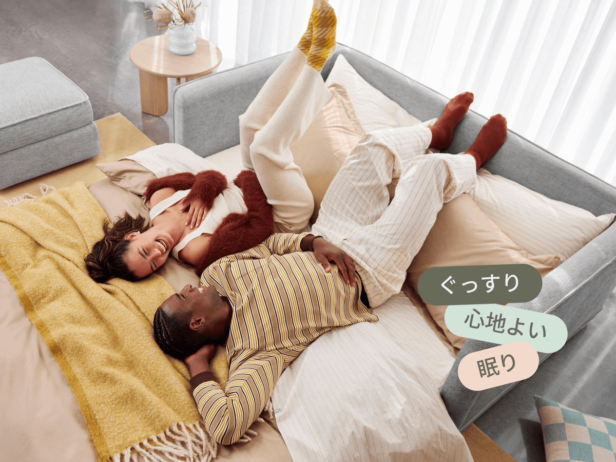 コアラソファーベッド CUSHY - ムーンライトシルバー (プレミアム ライン) / 3人掛け（クイーン）