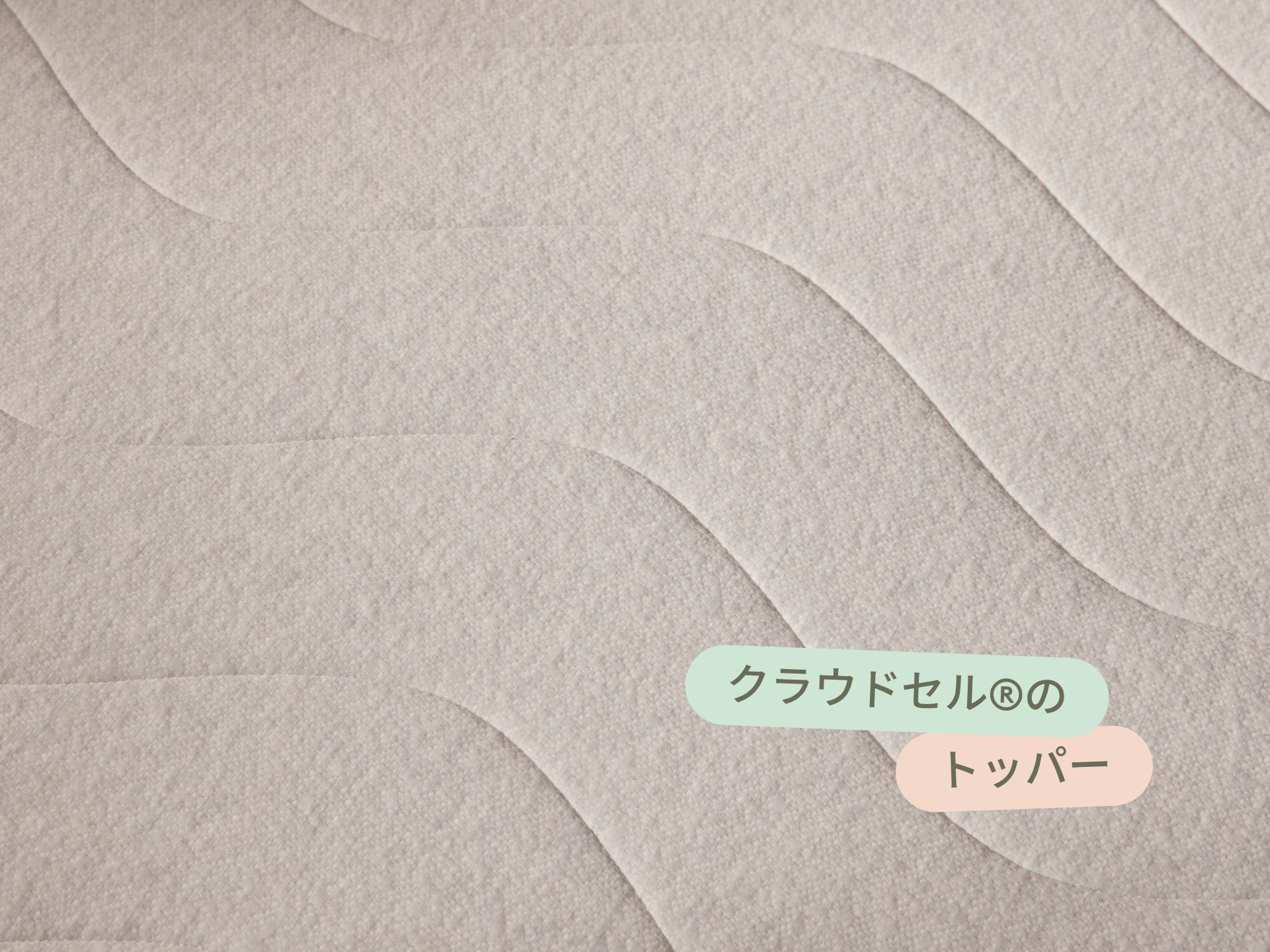 コアラソファーベッド CUSHY - 2人掛け（セミダブル） / サマークラウド (リュクス ライン)