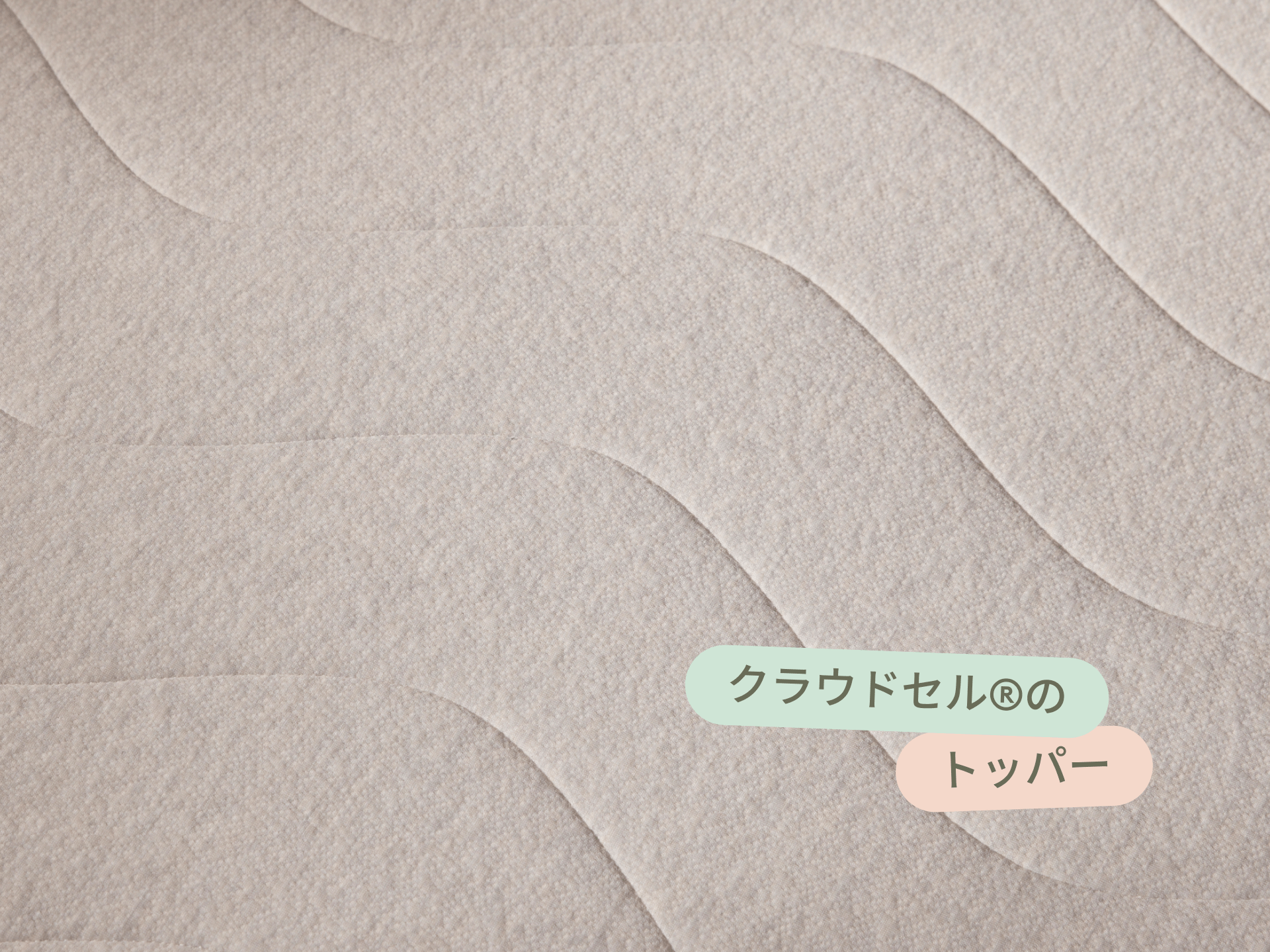 コアラソファーベッド CUSHY - 1人掛け（シングル） / チャコールグレー (クラシック ライン)