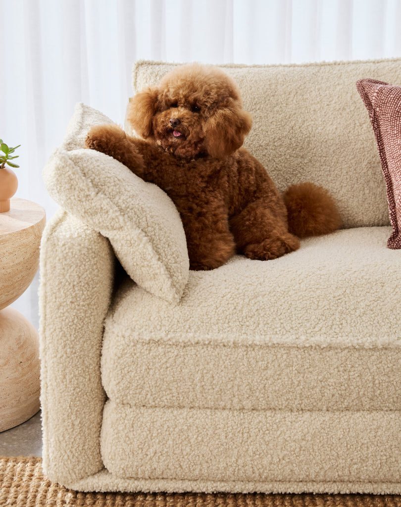 コアラマットレス公式サイト