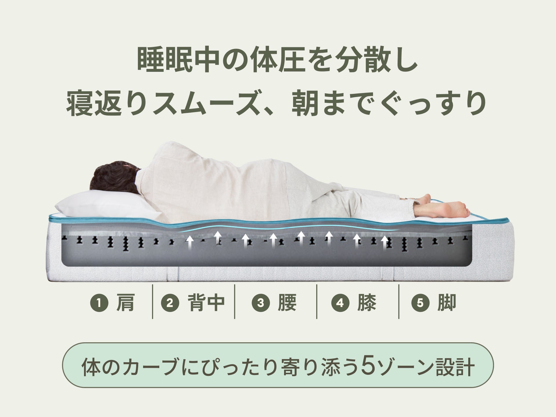 コアラマットレスプラス PLUS|自分好みに調整できる高機能モデル コアラマットレスプラス PLUS|自分好みに調整できる高機能モデル