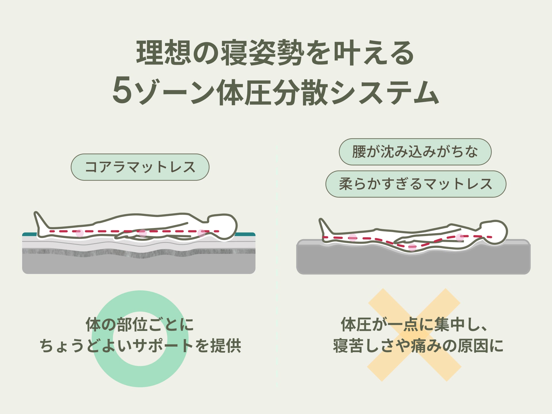 コアラマットレスプラス PLUS|自分好みに調整できる高機能モデル コアラマットレスプラス PLUS|自分好みに調整できる高機能モデル