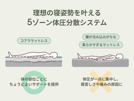 コアラマットレスプラス PLUS